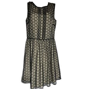 Sociology lace dress size s?